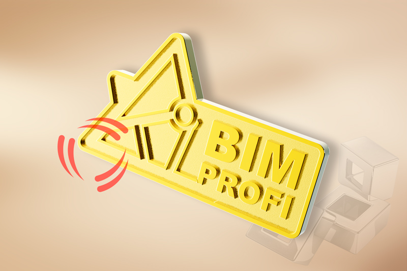 Серебряный значок с позолотой Bim-Profi